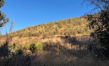 Venta de Terreno de 7.9 Hectáreas en Naltahua, Isla de Maipo.