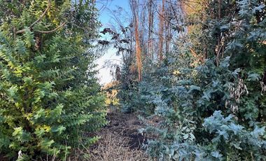 Venta de Terreno de 7.9 Hectáreas en Naltahua, Isla de Maipo.