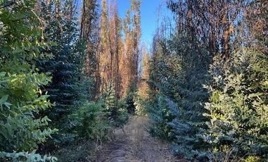 Venta de Terreno de 7.9 Hectáreas en Naltahua, Isla de Maipo.
