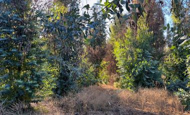 Venta de Terreno de 7.9 Hectáreas en Naltahua, Isla de Maipo.