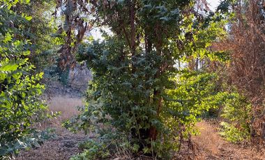 Venta de Terreno de 7.9 Hectáreas en Naltahua, Isla de Maipo.