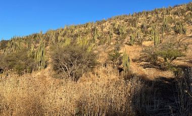 Venta de Terreno de 7.9 Hectáreas en Naltahua, Isla de Maipo.