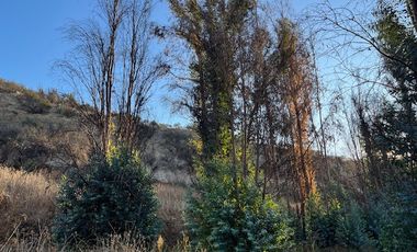 Venta de Terreno de 7.9 Hectáreas en Naltahua, Isla de Maipo.