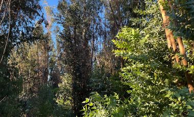 Venta de Terreno de 7.9 Hectáreas en Naltahua, Isla de Maipo.