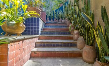 Casa de la Iguana - Lomas de Cuernavaca - Burgos