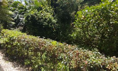 ARRIENDO APARTAMENTO EL RETIRO ANTIOQUIA