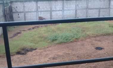 SE VENDE EXCELENTE BODEGA EN EL TEJAR