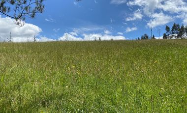 CAYAMBE, 3 HECTAREAS, SECTOR CAPULISPAMBA,IDEAL PARA PLANTACION DE FLORES $200.000,00