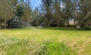 CAYAMBE, 3 HECTAREAS, SECTOR CAPULISPAMBA,IDEAL PARA PLANTACION DE FLORES $200.000,00
