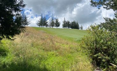 CAYAMBE, 3 HECTAREAS, SECTOR CAPULISPAMBA,IDEAL PARA PLANTACION DE FLORES $200.000,00
