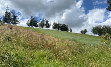 CAYAMBE, 3 HECTAREAS, SECTOR CAPULISPAMBA,IDEAL PARA PLANTACION DE FLORES $200.000,00