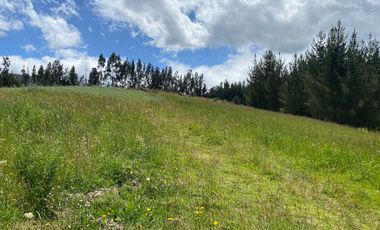 CAYAMBE, 3 HECTAREAS, SECTOR CAPULISPAMBA,IDEAL PARA PLANTACION DE FLORES $200.000,00