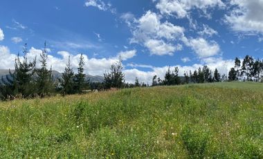 CAYAMBE, 3 HECTAREAS, SECTOR CAPULISPAMBA,IDEAL PARA PLANTACION DE FLORES $200.000,00