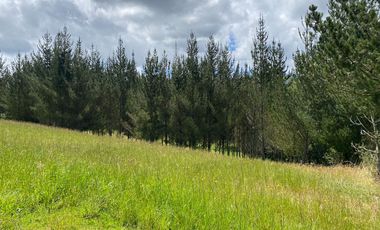 CAYAMBE, 3 HECTAREAS, SECTOR CAPULISPAMBA,IDEAL PARA PLANTACION DE FLORES $200.000,00