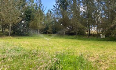 CAYAMBE, 3 HECTAREAS, SECTOR CAPULISPAMBA,IDEAL PARA PLANTACION DE FLORES $200.000,00