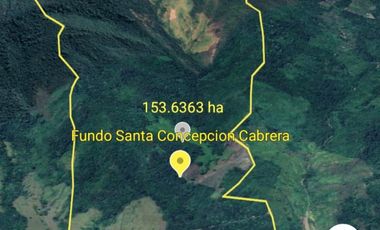 El terreno es idóneo para el desarrollo de un Condominio Campestre Exclusivo o una Lotización de Casas de Campo.