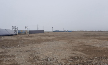 Vendo Terreno de 20,000 m² para desarollo industrial en Ventanilla