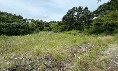 TERRENO EN VENTA PARA DESARROLLAR HARAS DEL BOSQUE 6700 M2