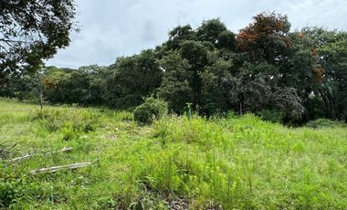 TERRENO EN VENTA PARA DESARROLLAR HARAS DEL BOSQUE 6700 M2