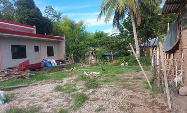 HOUSE AND LOT FOR SALE IN DUMAGUETE ID 14904