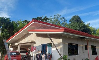 HOUSE AND LOT FOR SALE IN DUMAGUETE ID 14904