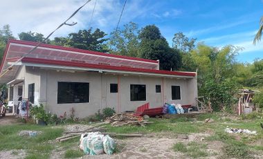 HOUSE AND LOT FOR SALE IN DUMAGUETE ID 14904