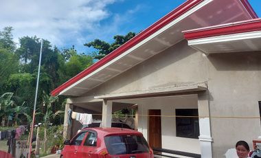HOUSE AND LOT FOR SALE IN DUMAGUETE ID 14904