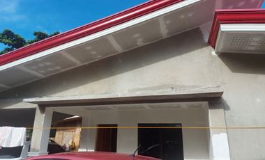 HOUSE AND LOT FOR SALE IN DUMAGUETE ID 14904