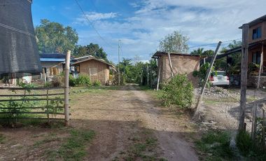 HOUSE AND LOT FOR SALE IN DUMAGUETE ID 14904