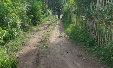 HOUSE AND LOT FOR SALE IN DUMAGUETE ID 14904