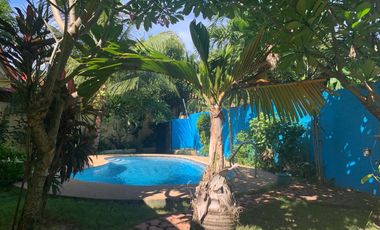 HOUSE AND LOT WITH POOL FOR SALE IN DUMAGUETE ID 14899