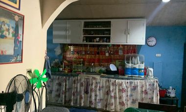 HOUSE AND LOT FOR SALE IN DUMAGUETE ID 14898