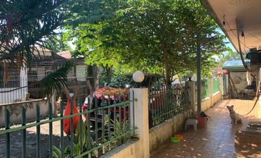 HOUSE AND LOT FOR SALE IN DUMAGUETE ID 14898