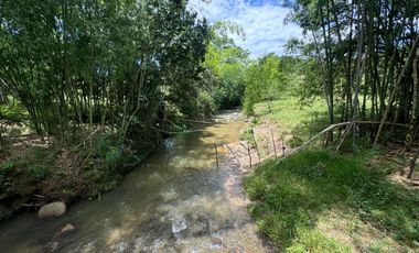 FINCA PLANA DE UNA HECTÁREA POR LA VÍA HACIA AMALFI ANTIOQUIA COLOMBIA.