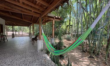 FINCA PLANA DE UNA HECTÁREA POR LA VÍA HACIA AMALFI ANTIOQUIA COLOMBIA.