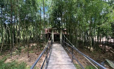 FINCA PLANA DE UNA HECTÁREA POR LA VÍA HACIA AMALFI ANTIOQUIA COLOMBIA.