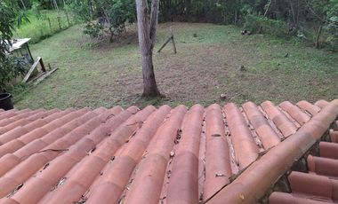 FINCA PLANA DE UNA HECTÁREA POR LA VÍA HACIA AMALFI ANTIOQUIA COLOMBIA.