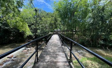 FINCA PLANA DE UNA HECTÁREA POR LA VÍA HACIA AMALFI ANTIOQUIA COLOMBIA.