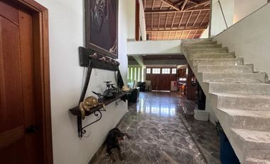 FINCA PLANA DE UNA HECTÁREA POR LA VÍA HACIA AMALFI ANTIOQUIA COLOMBIA.