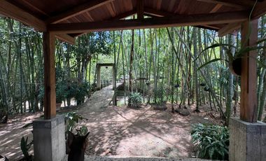 FINCA PLANA DE UNA HECTÁREA POR LA VÍA HACIA AMALFI ANTIOQUIA COLOMBIA.