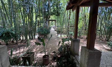 FINCA PLANA DE UNA HECTÁREA POR LA VÍA HACIA AMALFI ANTIOQUIA COLOMBIA.