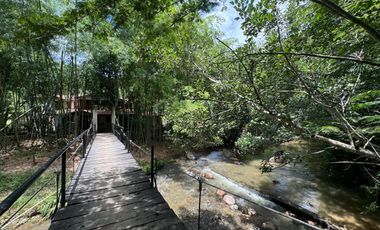 FINCA PLANA DE UNA HECTÁREA POR LA VÍA HACIA AMALFI ANTIOQUIA COLOMBIA.
