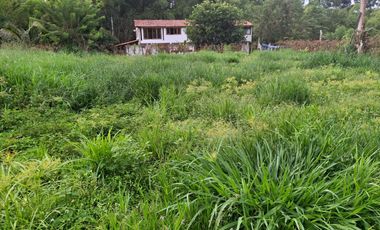 FINCA PLANA DE UNA HECTÁREA POR LA VÍA HACIA AMALFI ANTIOQUIA COLOMBIA.