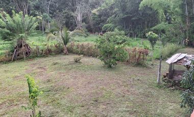 FINCA PLANA DE UNA HECTÁREA POR LA VÍA HACIA AMALFI ANTIOQUIA COLOMBIA.