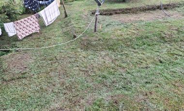 FINCA PLANA DE UNA HECTÁREA POR LA VÍA HACIA AMALFI ANTIOQUIA COLOMBIA.