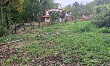 FINCA PLANA DE UNA HECTÁREA POR LA VÍA HACIA AMALFI ANTIOQUIA COLOMBIA.