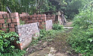 FINCA PLANA DE UNA HECTÁREA POR LA VÍA HACIA AMALFI ANTIOQUIA COLOMBIA.