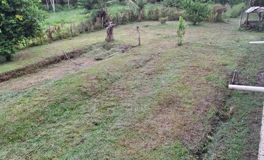 FINCA PLANA DE UNA HECTÁREA POR LA VÍA HACIA AMALFI ANTIOQUIA COLOMBIA.