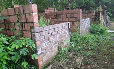 FINCA PLANA DE UNA HECTÁREA POR LA VÍA HACIA AMALFI ANTIOQUIA COLOMBIA.