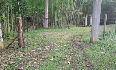 FINCA PLANA DE UNA HECTÁREA POR LA VÍA HACIA AMALFI ANTIOQUIA COLOMBIA.